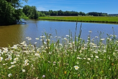 Weiher Ingenried